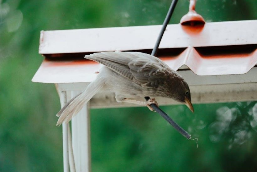 armstrong cable tv guide and listings today