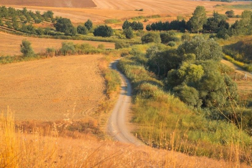 munsell soil colour chart pdf