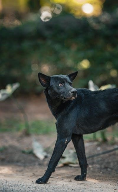 108 mudras pdf free download